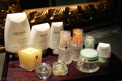 网红同款化妆品与卫生用品批发指南